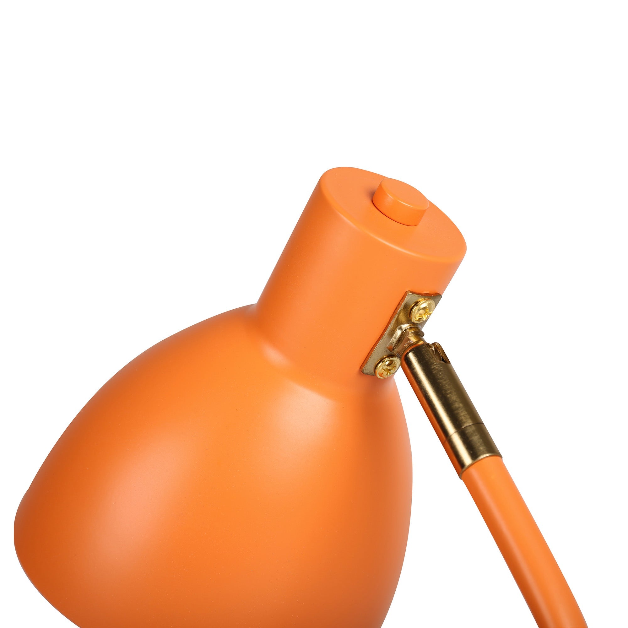 Image 23