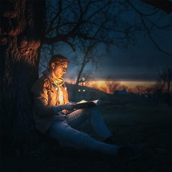 Buy Catzon 3 Colors Book Light Hands Free Stepless Dimming for