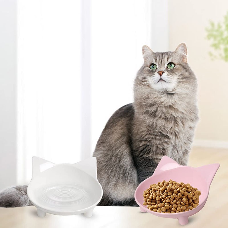 Buy Catzon 3 Packs Cat Food Bowl Non Slip Pet Food Bowls Cat