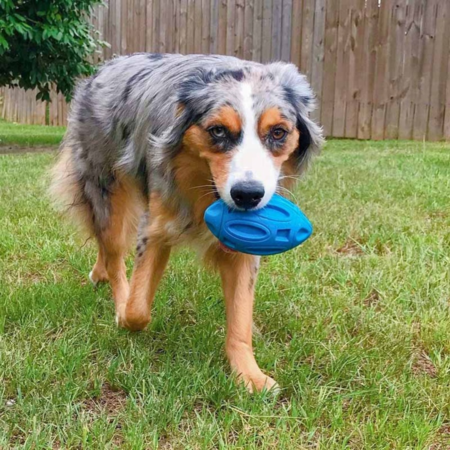Catzon Dog Squeak Toys for Aggressive Chewers Durable Pet Rubber Football Toys Blue