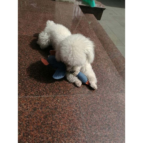 Image 8