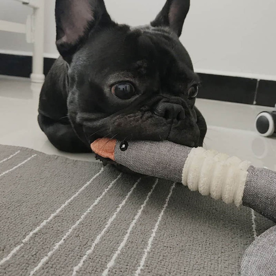 Catzon Pet Dog Toys for Strong Aggressive Chewers Indestructible Small Breed and Squeaky Goose-Gray