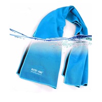 Catzon RH20 1pc Sports Ice Towel Portable Fitness Fast Cold Sense Summer Quick-drying Towel For Outdoor Yoga Sports-Blue