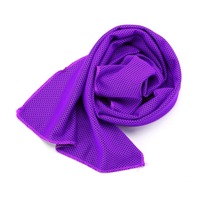 Catzon RH24 1pc Cold Cold Sense Towel Fitness Fast Portable Quick-drying Sports Towel For Outdoor Yoga Sports Summer-Purple