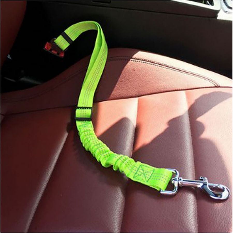 Catzon Seat Belt for Dogs with Elastic Bungee Buffer Car Travel Accessories-Green