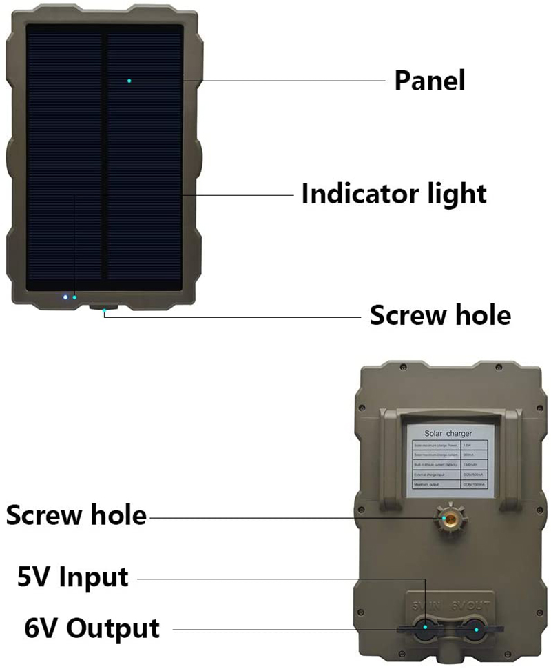 Image 4