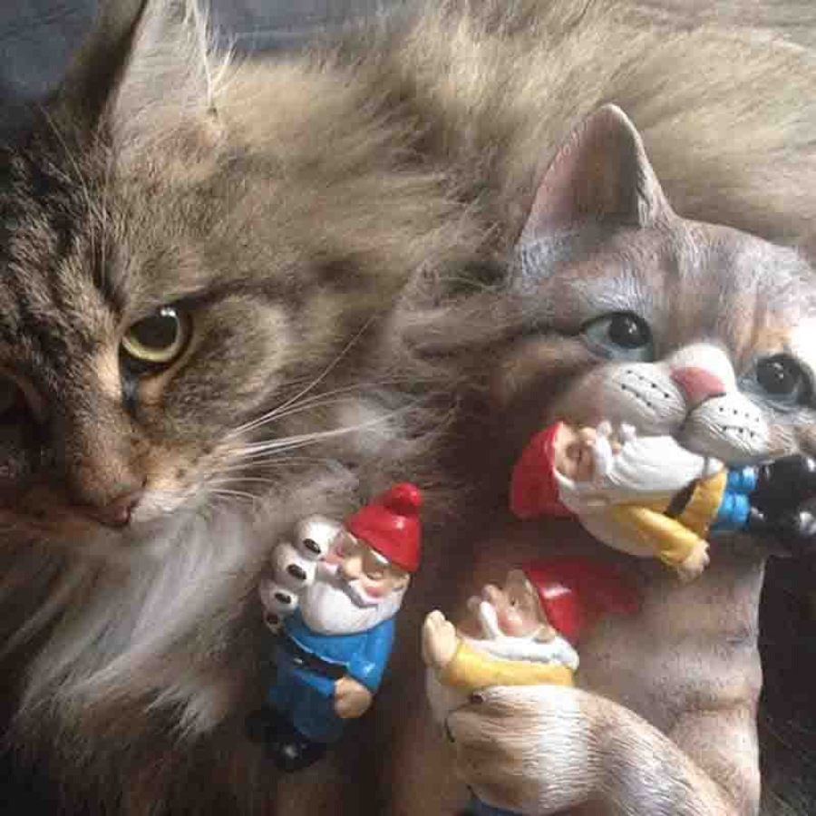 Catzon Garden Mischievous Cat Gnome Statue Lawn Ornaments Suitable for Indoor Outdoor Patio