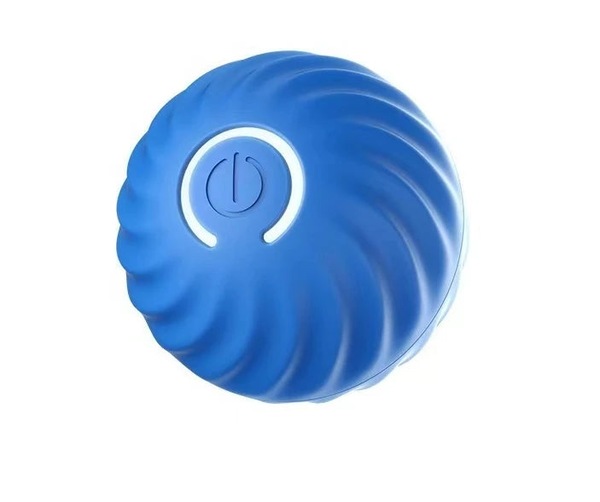 Image 6