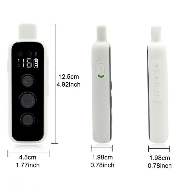Image 7