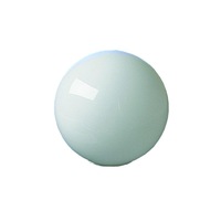 Accessories - Glass Globe Shade in White Superlux Lighting - Q020