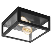 Alamonte 1 CTC Indoor Ceiling/Wall Light 2Lt in Black