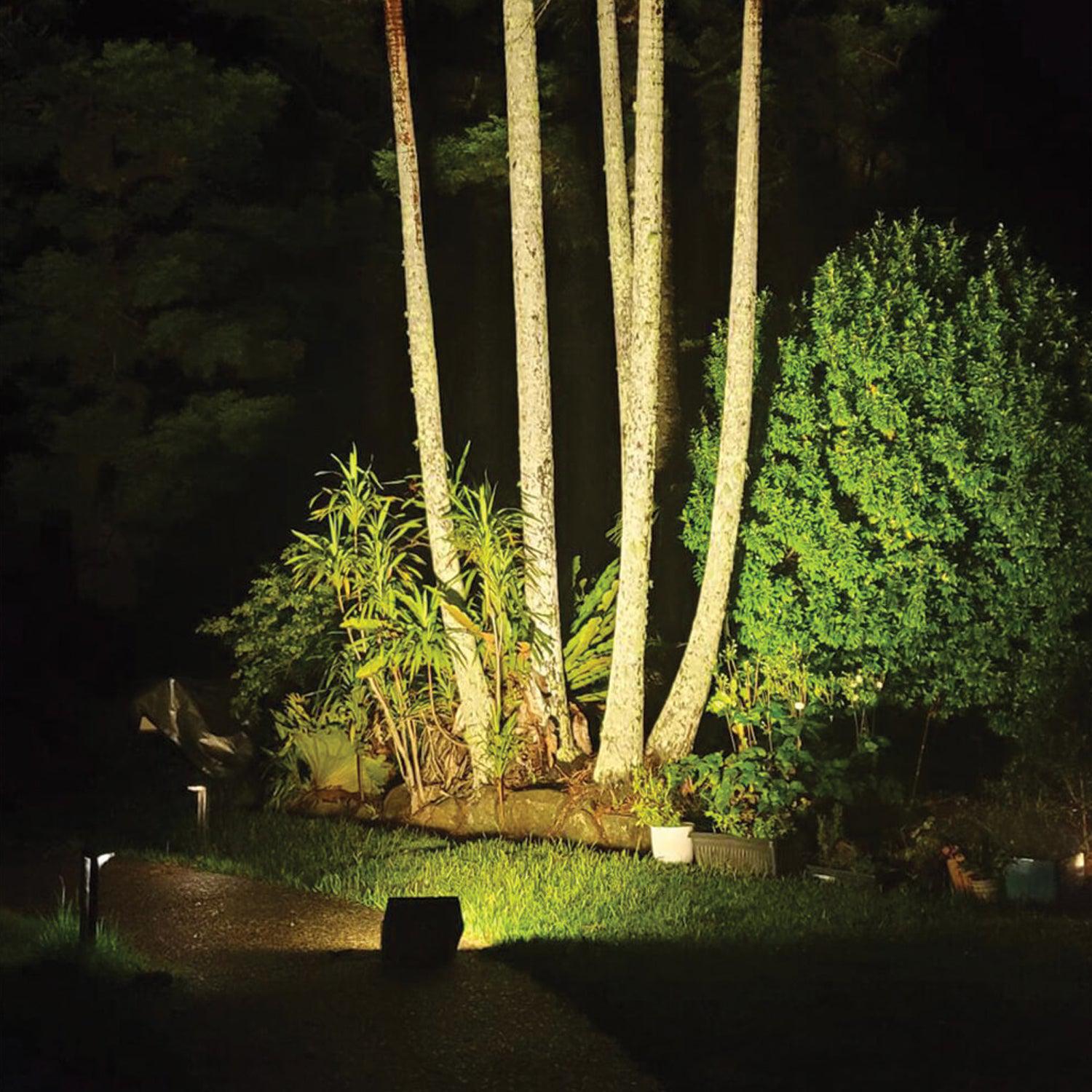 Image 6