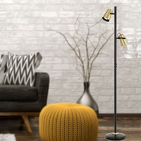 Deny Floor Lamp 2Lt in Black