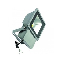 LED Flood Light 100w 4000k in Silver Superlux Lighting - KR100-SI