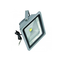 LED Flood Light 50w 4000k in Silver Superlux Lighting - KR50-SI