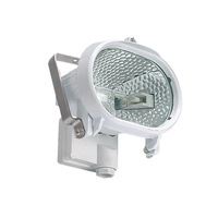 Linear Oval Security Flood Light R7s in White Superlux Lighting - K150-WH