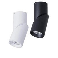 Nella LED Downlight 12w Black, White CCT HV5823T Havit Lighting