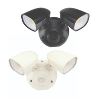 Shielder LED Flood Light 2x10w in White or Black