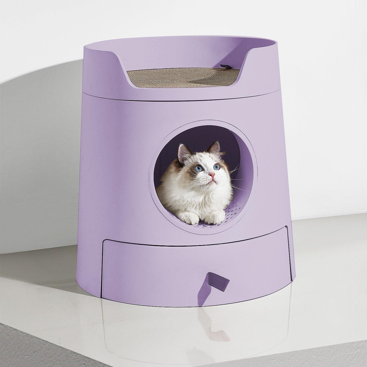 purple litter box