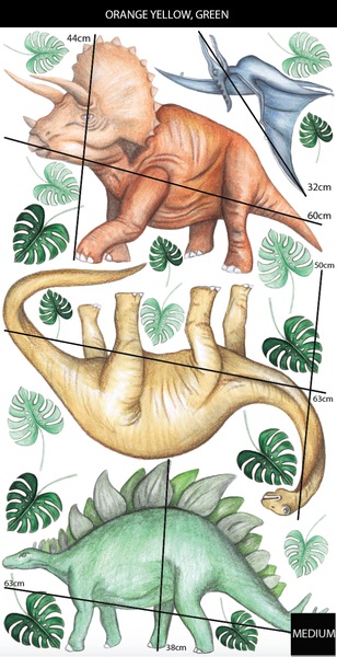Image 24