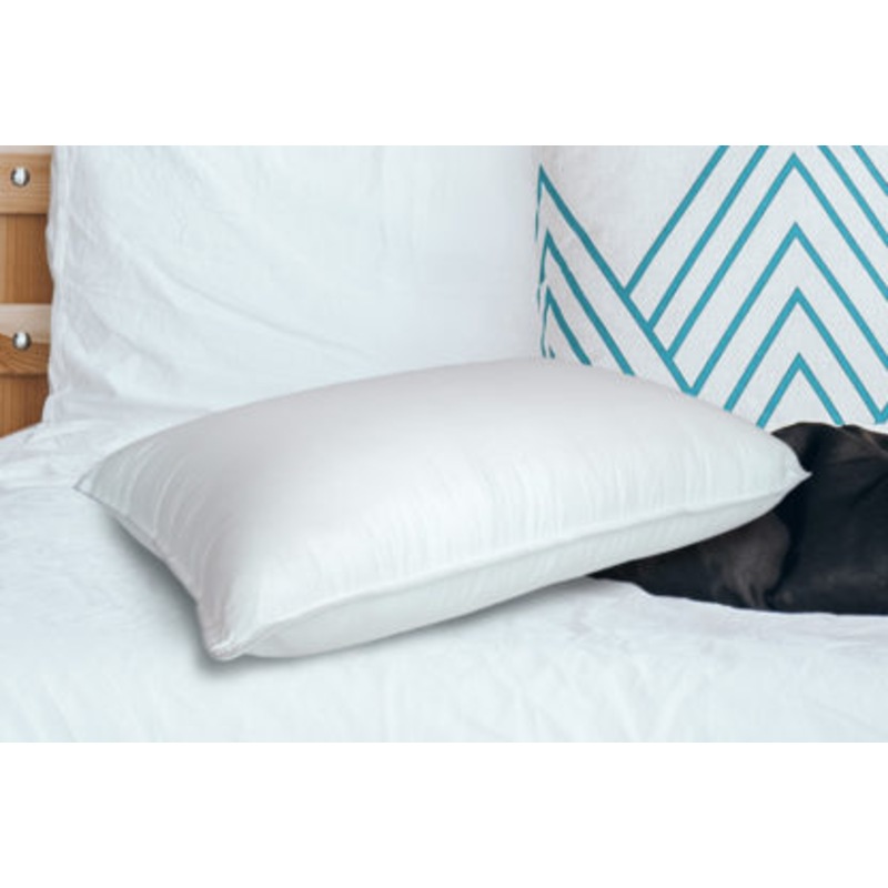 Buy Jaspa Black Low & Firm Pillow MyDeal