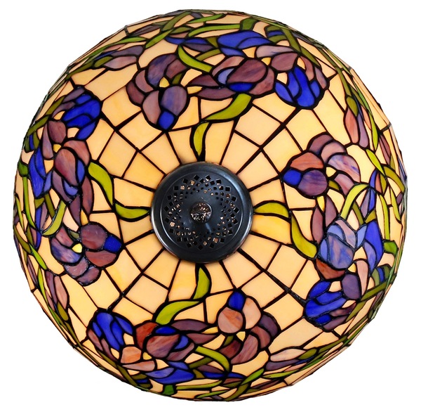 Image 7