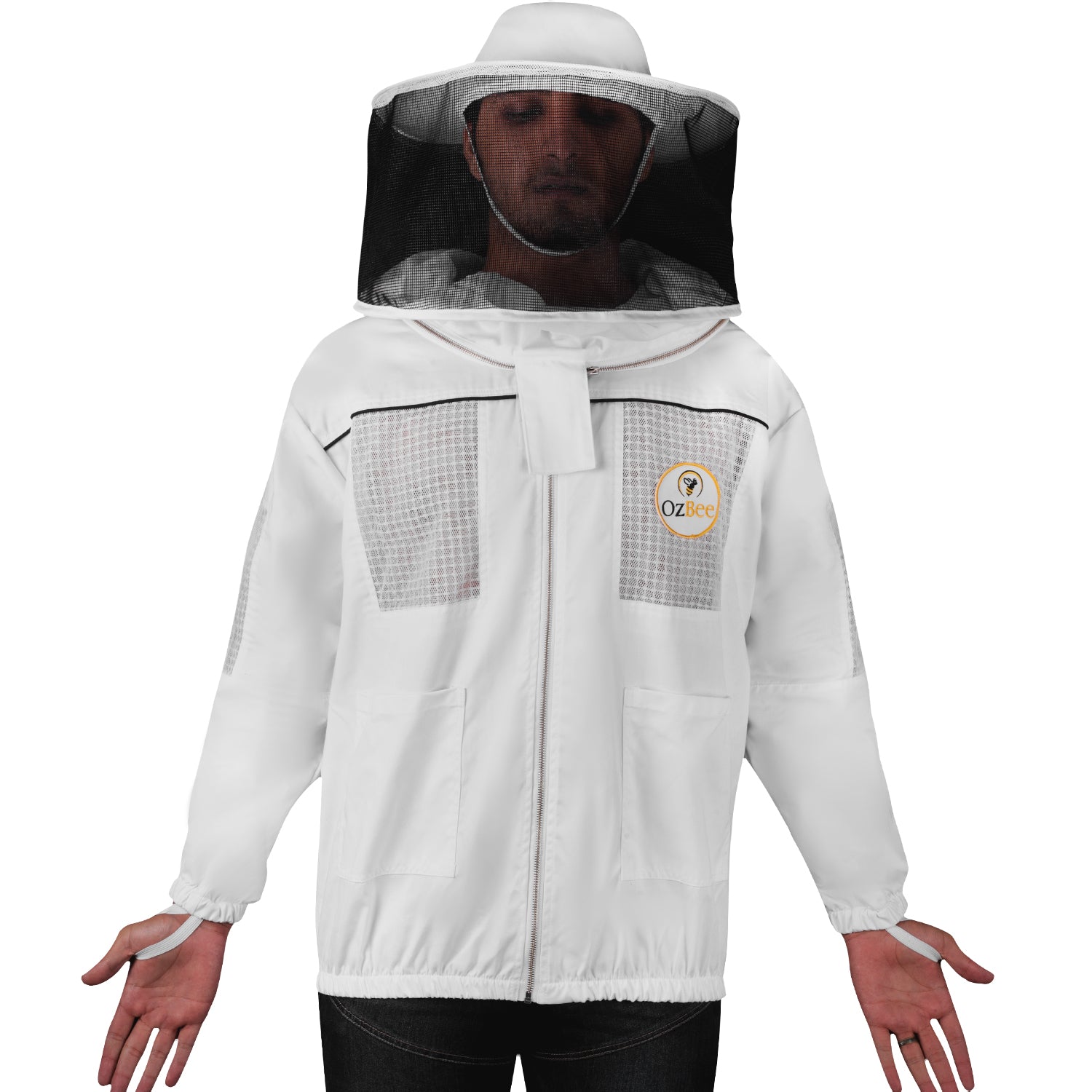 Image 4