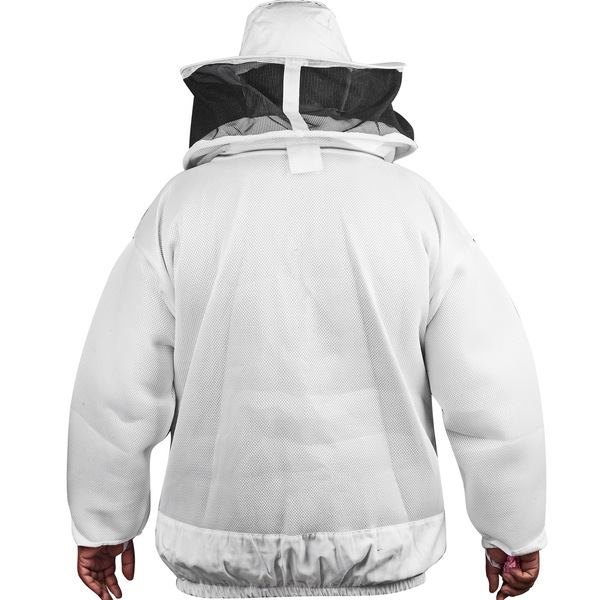 Image 4