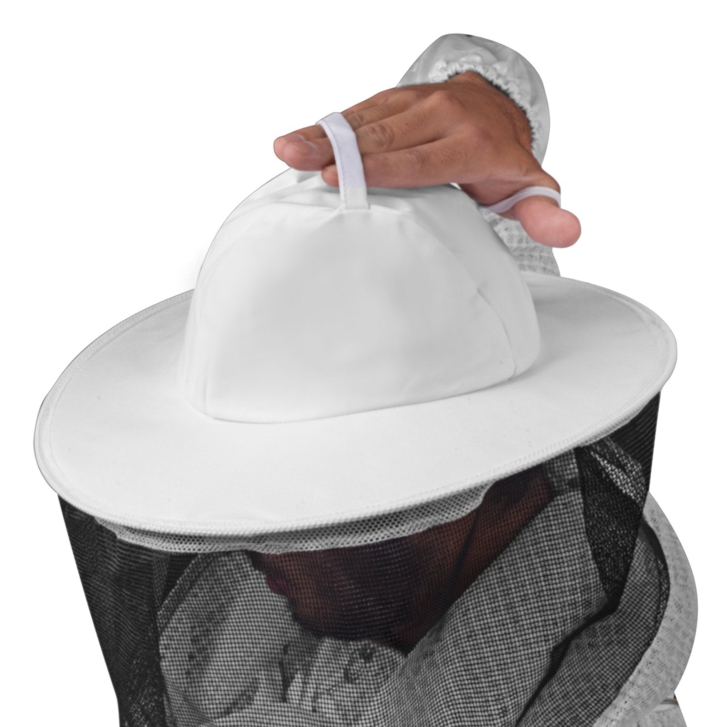 Image 3