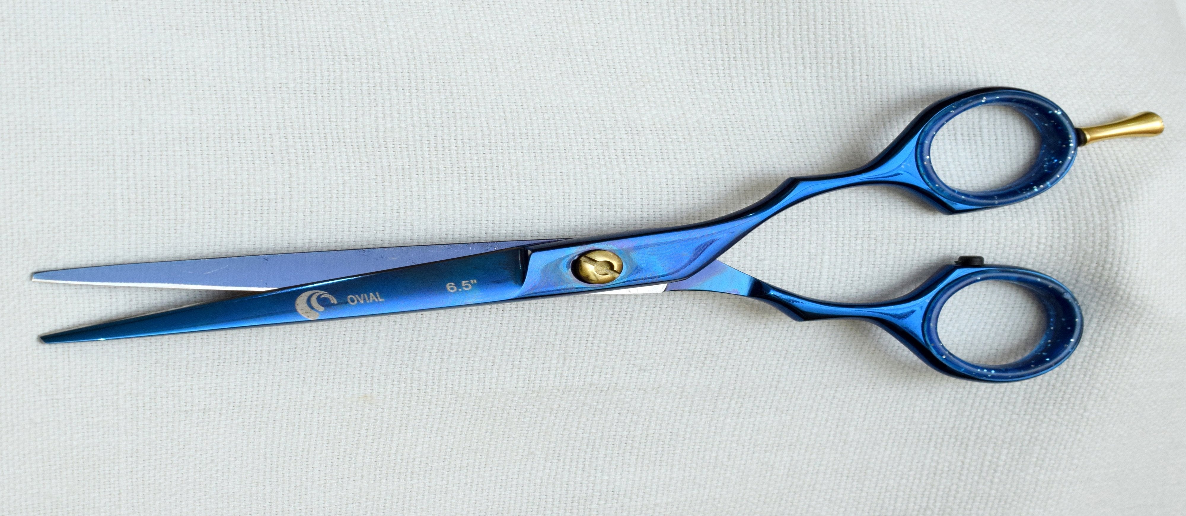 Ovial Alexander- Blue Plasma Quoted Stainless Steel Professional Scissor 6.5"