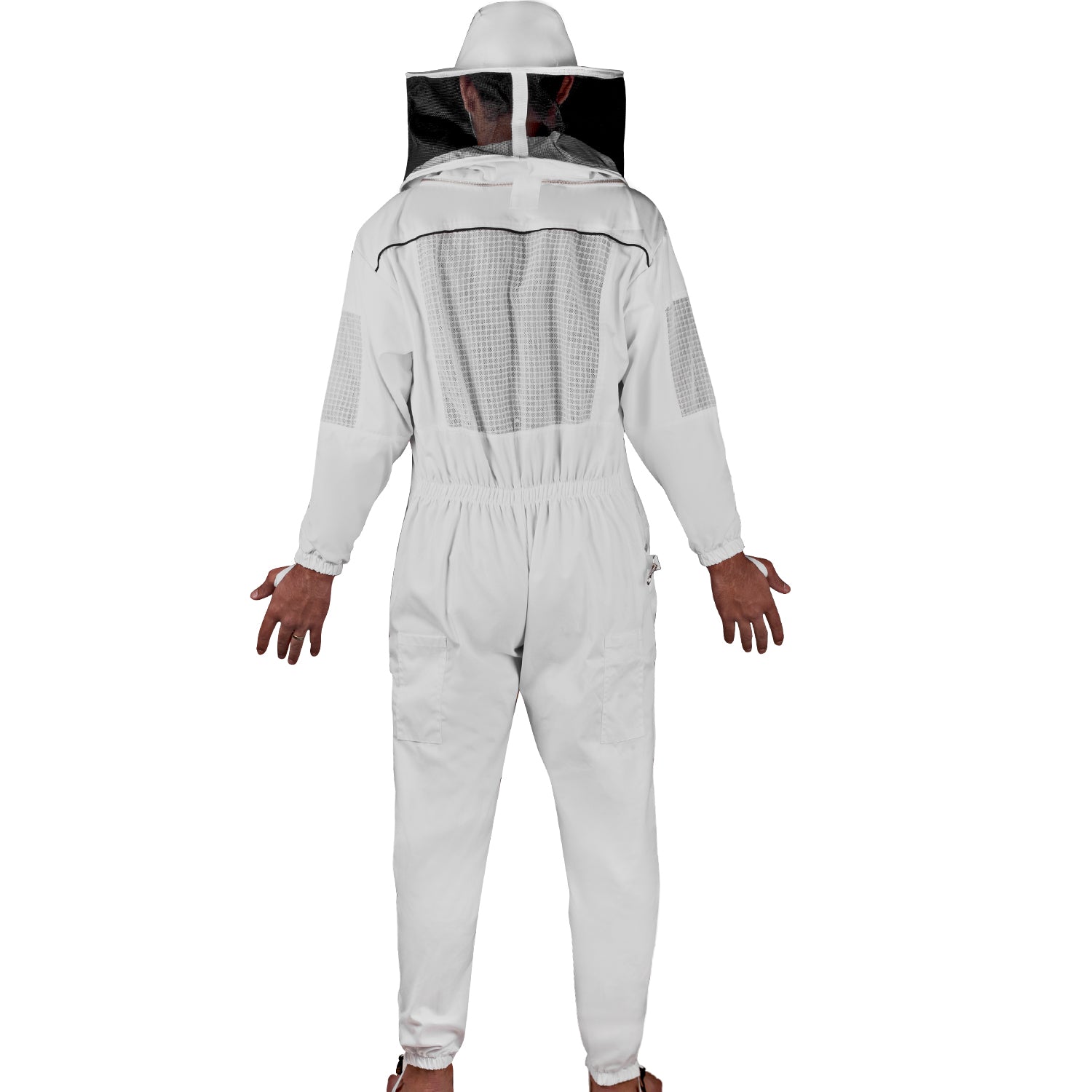 Image 7