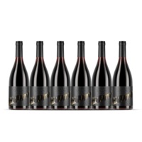 6 Bottles of 2019 Loganns Hollow Barossa Valley Shiraz 750ML