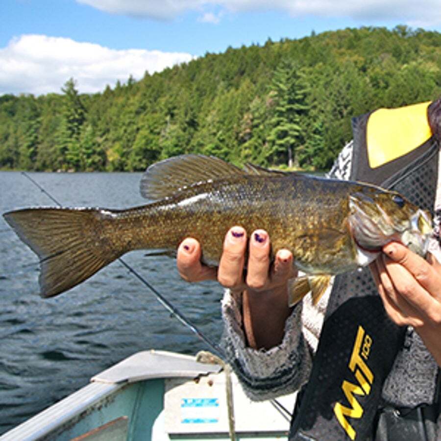 description_300-pcs-octopus-circle-fishi