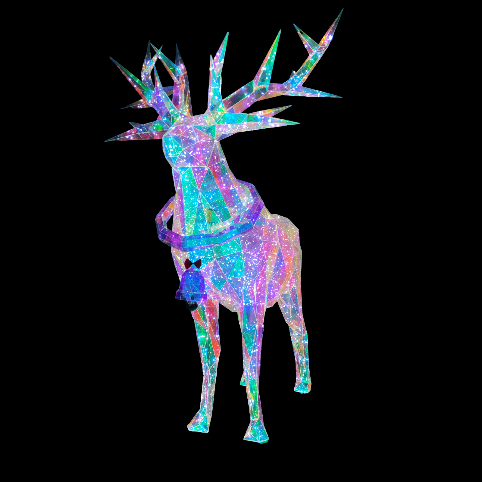 Image 5