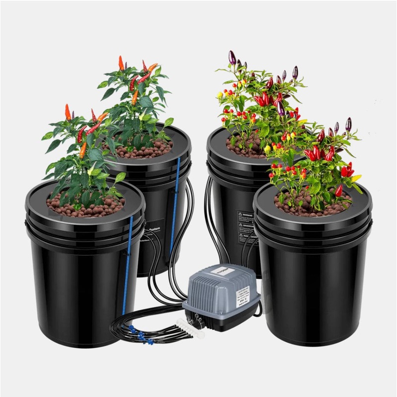 Buy EverGrow 5x DWC 20L Buckets Aerated System Kit For Hydroponic Grow
