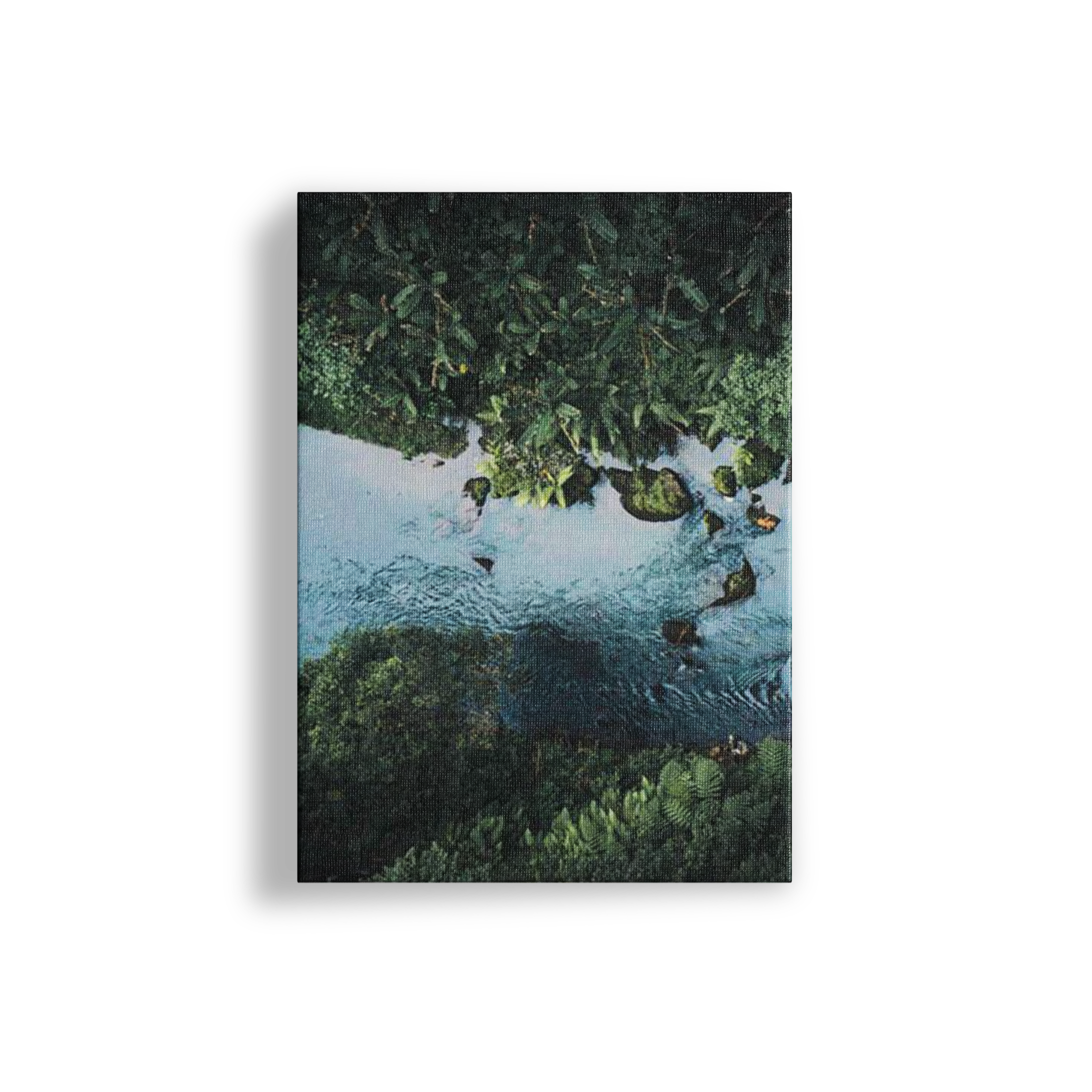 Image 8
