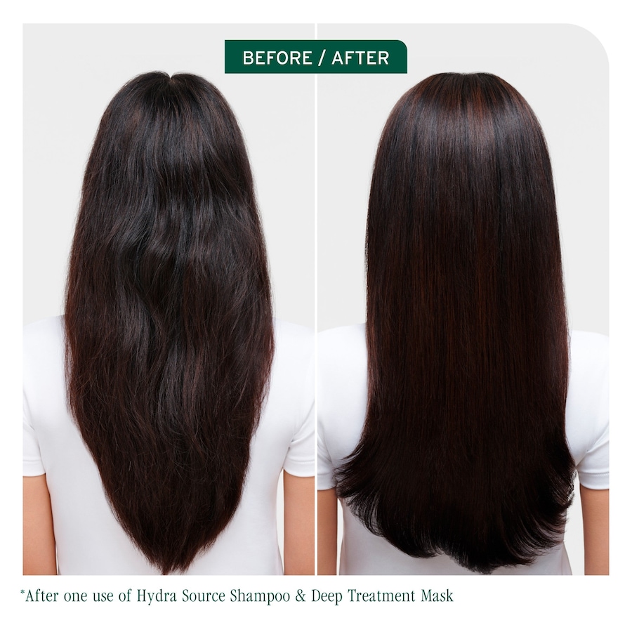 Biolage Hydrasource Shampoo & Detangling DUO