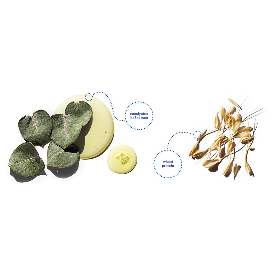 Pureology Hydrate Sheer Conditioner nourishes fine dry, color-treated hair