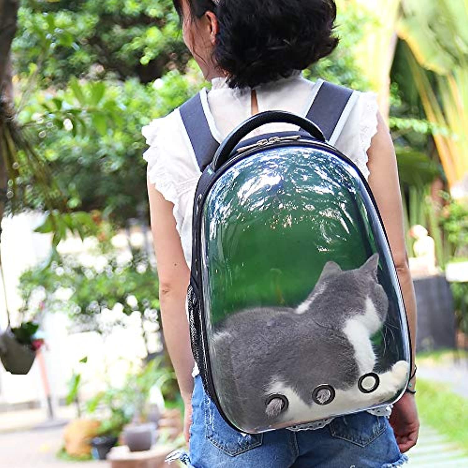transparent pet bag