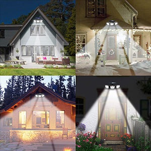 Image 11