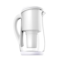 Gentoo Glass Water Filter Jug