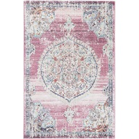 Neptune Hollow Medallion Transitional Blush Rug