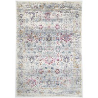 Provance Dijon Transitional Multi & Grey Rug