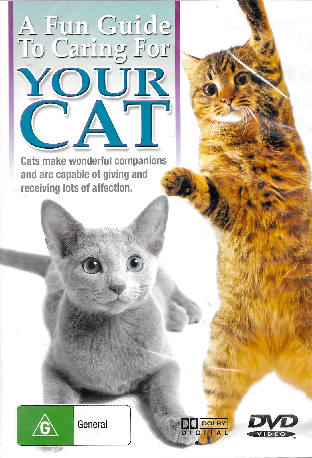 A Fun Guide To Caring For Your Cat - Rare DVD Aus Stock New Region ALL