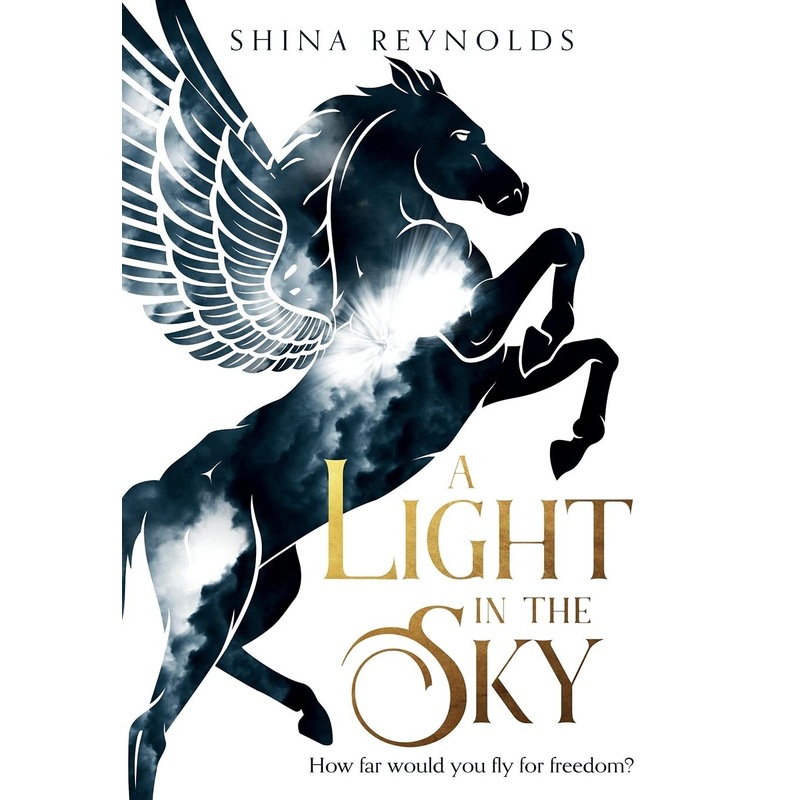 Buy A Light in the Sky Shina Reynolds MyDeal