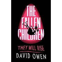 The Fallen Children -David Owen Children's Book