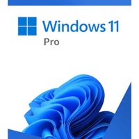 MICROSOFT Windows 11 Professional Retail 64-bit USB Flash Drive