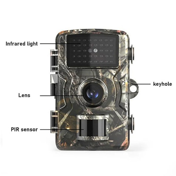 Image 2