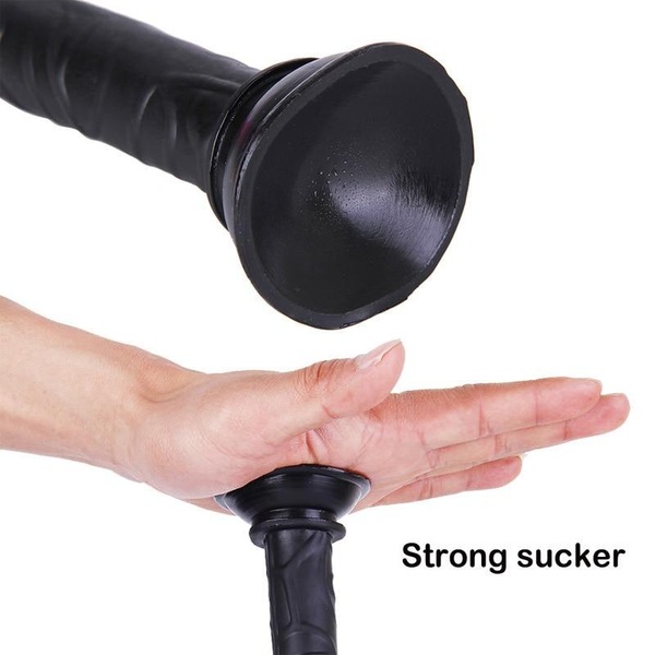 Image 11