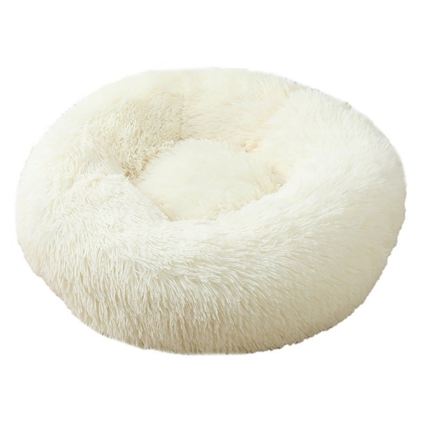 Image 21